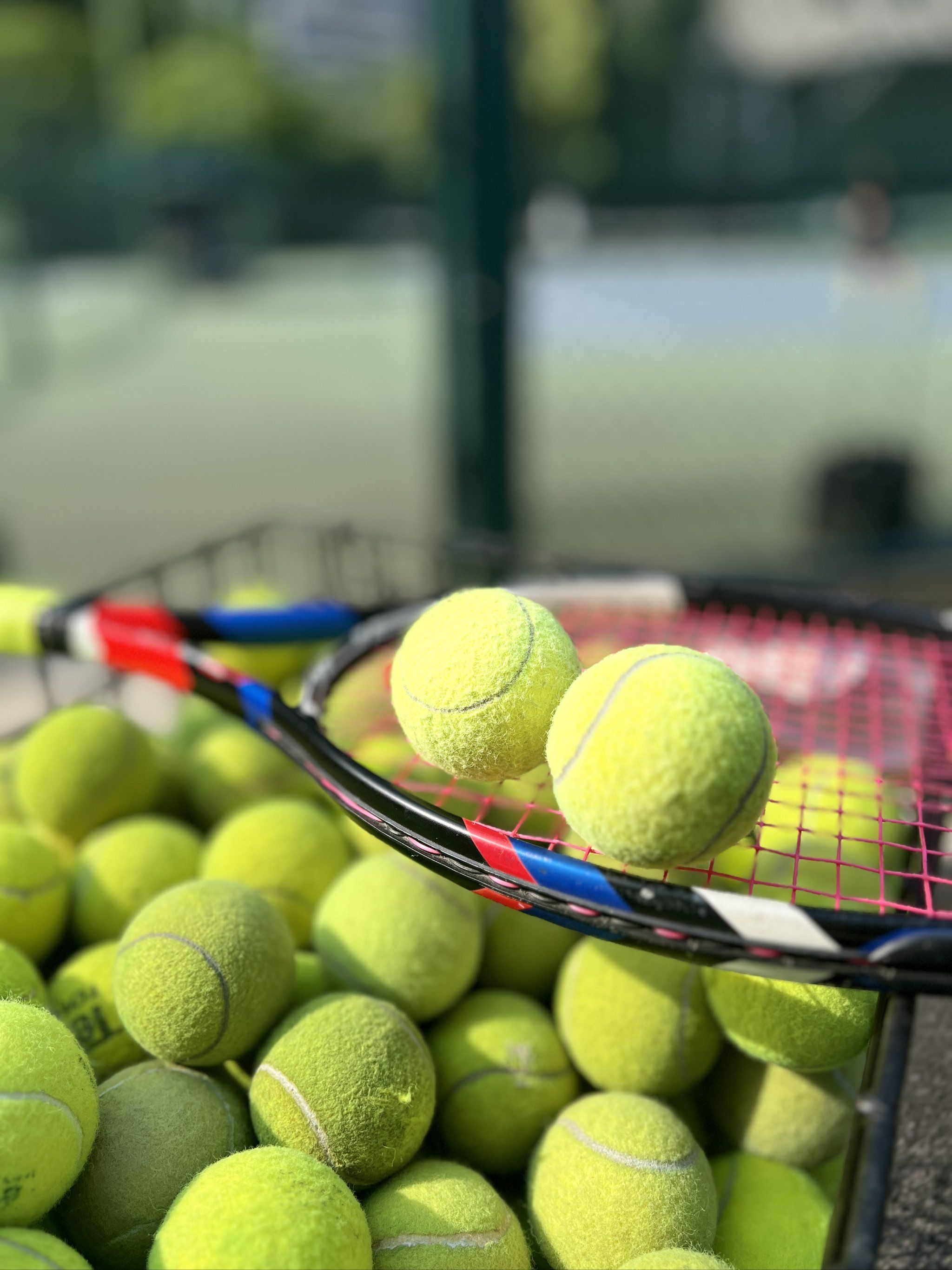 也与迪亚斯 也与迪亚斯