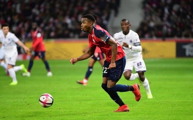 力的体现 力的体现