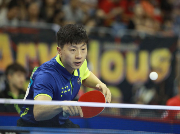 新疆伊力特 新疆伊力特