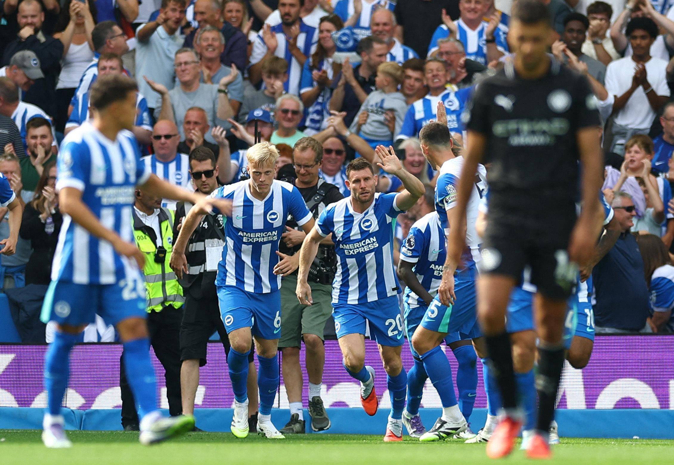 以职业化流 以职业化流